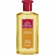 Wody i perfumy unisex - Mont St Michel, Ambree Authentique, Woda kolońska unisex, 250 ml - miniaturka - grafika 1