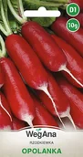 Nasiona i cebule - Rzodkiewka Opolanka 10g nasiona - WegAna - miniaturka - grafika 1