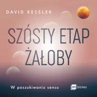 Audiobooki - poradniki - Szósty etap żałoby. W poszukiwaniu sensu - miniaturka - grafika 1