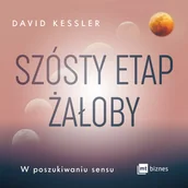 Audiobooki - poradniki - Szósty etap żałoby. W poszukiwaniu sensu - miniaturka - grafika 1