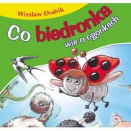 Książki edukacyjne - Co biedronka wie o ogonkach. Bajki dla malucha - Wiesław Drabik - miniaturka - grafika 1