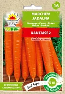 Nasiona i cebule - Toraf Marchew Nantese 2 nasiona na taśmie 6m 00256 - miniaturka - grafika 1