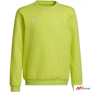 Bluza adidas Entrada 22 Sweat Top Jr HC5043 r. HC5043*128cm - Bluzy damskie - miniaturka - grafika 1