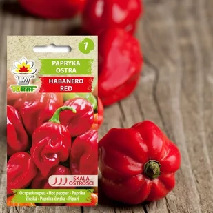 Toraf Papryka Ostra Habanero Red Nas000508 - Nasiona i cebule - miniaturka - grafika 1