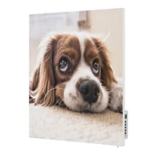 Parasole ogrodowe - Grzejnik na podczerwień z grafiką TF-SWT400P TERMOFOL - miniaturka - grafika 1