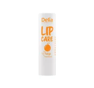 Balsamy do ust - DELIA LIP CARE OCHRONNA POMADKA DO UST ORANGE 4,9G - miniaturka - grafika 1
