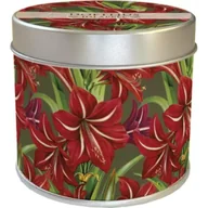 Świece - Skona Ting Zapachowa świeczka gwiazda bet. - zapach jabłkowy - miniaturka - grafika 1