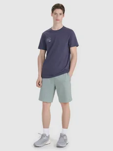 Męskie spodenki casual 4F 4FRSS25TSHOM746 - zielone - Spodenki męskie - miniaturka - grafika 1