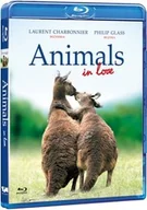 Pozostałe filmy Blu-Ray - Animals in Love - miniaturka - grafika 1