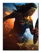 Obrazy i zdjęcia - Pyramid Posters Wonder Woman (Courage) - obraz na płótnie 60x80 WDC99961 - miniaturka - grafika 1