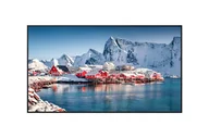 Monitory reklamowe i wyświetlacze - Panasonic TH-55SQE2W 55" Wyświetlacz - miniaturka - grafika 1
