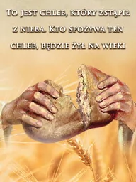 Baner na Boże Ciało "To jest chleb, który zstąpił z nieba.." 75x100 cm - Ikony i obrazy sakralne - miniaturka - grafika 1