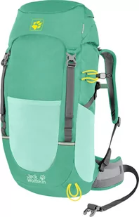 Jack Wolfskin Pioneer 22 Pack Backpack Kids, zielony 2022 Plecaki szkolne i turystyczne 2008222-4071-OS - Plecaki - miniaturka - grafika 1