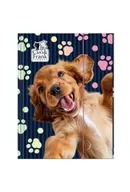 Teczki i skoroszyty - Teczka z gumką A4 Cleo i Frank 44 (pies) DERFORM - miniaturka - grafika 1