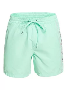 Quiksilver Everyday Vert Volley 16 Boardshorts (1 opakowanie) - Kąpielówki męskie - miniaturka - grafika 1