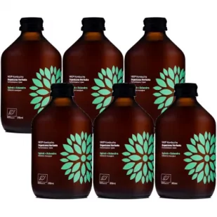 Vigo Yoko Kombucha z ogórkiem i kolendrą bezglutenowa Zestaw 6 x 315 ml Bio - Napoje gazowane - miniaturka - grafika 1