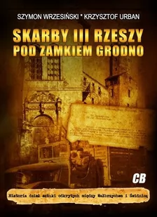 Skarby III Rzeszy pod zamkiem Grodno - Szymon Wrzesiński, Krzysztof Urban - Historia Polski - miniaturka - grafika 1