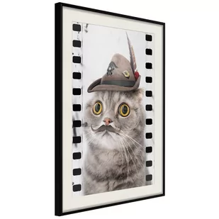 Plakat - Przebrany kot (rozmiar 40x60, wykończenie Rama złota z passe-partout) - Plakaty - miniaturka - grafika 1