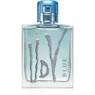 Wody i perfumy męskie - Ulric de Varens Udv Blue EDT 100 ml - miniaturka - grafika 1