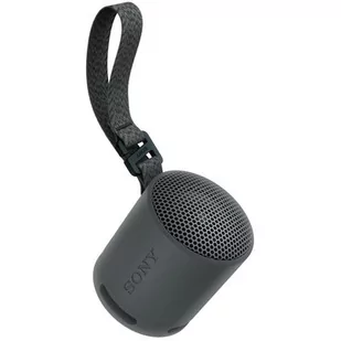 Głośnik bezprzewodowy SONY SRS-XB100 Czarny - Głośniki przenośne - miniaturka - grafika 1