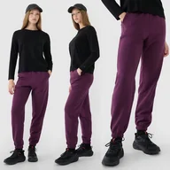 Spodnie damskie - Spodnie Damskie Dresowe 4f S Joggery Ttrof1013 Ss25 - miniaturka - grafika 1