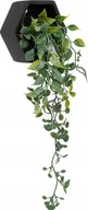 Sztuczne kwiaty - Atmosphera Sztuczna roślina wisząca w cementowej doniczce AYAME, 14 cm - miniaturka - grafika 1