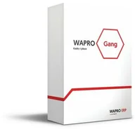 Programy finansowe i kadrowe - WAPRO Gang 365 PRESTIŻ 50 - miniaturka - grafika 1