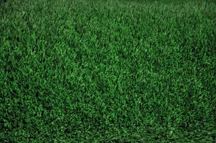 MultiGrass SZTUCZNA TRAWA SARAH 2M ZIELONY 95/M - Trawy i trawniki - miniaturka - grafika 1
