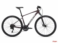 Rowery - Rower Giant Roam Disc 2 Charcoal Plum 2024 - miniaturka - grafika 1