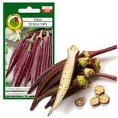 Nasiona i cebule - OKRA BURGUNDY KETMIA NASIONA BEZ GMO 2g - miniaturka - grafika 1