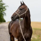 Kantary dla koni - Horze Kantar + uwiąz CALIBER - miniaturka - grafika 1