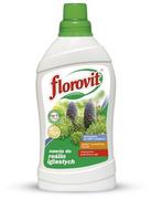 Nawozy ogrodnicze - Florovit Nawóz płynny do roślin iglastych butelka 1 kg - miniaturka - grafika 1