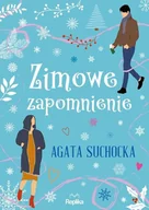 Literatura obyczajowa - Zimowe zapomnienie - miniaturka - grafika 1