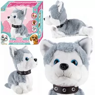 Zabawki interaktywne dla dzieci - Pies Interaktywny Piesek Husky Reaguje Na Dotyk U487 - miniaturka - grafika 1