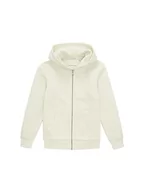 Bluzy dla chłopców - TOM TAILOR Chłopięca bluza z kapturem i nadrukiem, 32257-szaro-biały, 140 - miniaturka - grafika 1