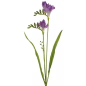 Sztuczne kwiaty - Kwiat dekoracyjny EUROFIRANY Natu 340 60 cm Fioletowy - miniaturka - grafika 1