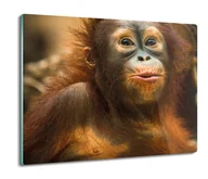Deski do krojenia - osłona płyty kuchennej Orangutan mały małpa 60x52, ArtprintCave - miniaturka - grafika 1