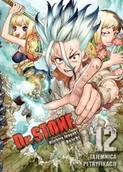 Komiksy dla młodzieży - Dr. Stone - miniaturka - grafika 1