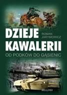 Historia świata - Dzieje Kawalerii - miniaturka - grafika 1