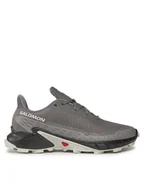 Buty sportowe męskie - Salomon Buty Alphacross 5 473133 29 W0 Szary - miniaturka - grafika 1