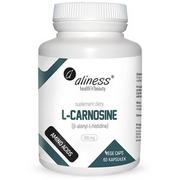 Aminokwasy - Aliness L-Carnosine AMINO ACIDS L-Karnozyna 500 mg (60 kaps) VEGE Aliness ALI-171 - miniaturka - grafika 1