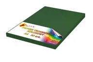 Szkolne artykuły papiernicze - Papier techniczny A4 300g zielony ciemny v2 50 arkuszy - miniaturka - grafika 1