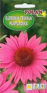 Nasiona i cebule - Rudbekia trwała purpuroworóżowa 1 g POLAN - miniaturka - grafika 1