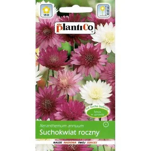 Nasiona Suchołuska Mix 1 Gram Plantico - Nasiona i cebule - miniaturka - grafika 1