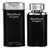 Wody i perfumy męskie - Ted Lapidus Black Soul Woda toaletowa 100ml - miniaturka - grafika 1