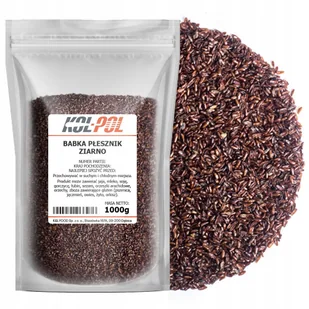 BABKA PŁESZNIK 1 kg Błonnik witalny naturalny Nasiona ziarno jakość Kol-Pol - Ziarna i nasiona roślin strączkowych - miniaturka - grafika 1