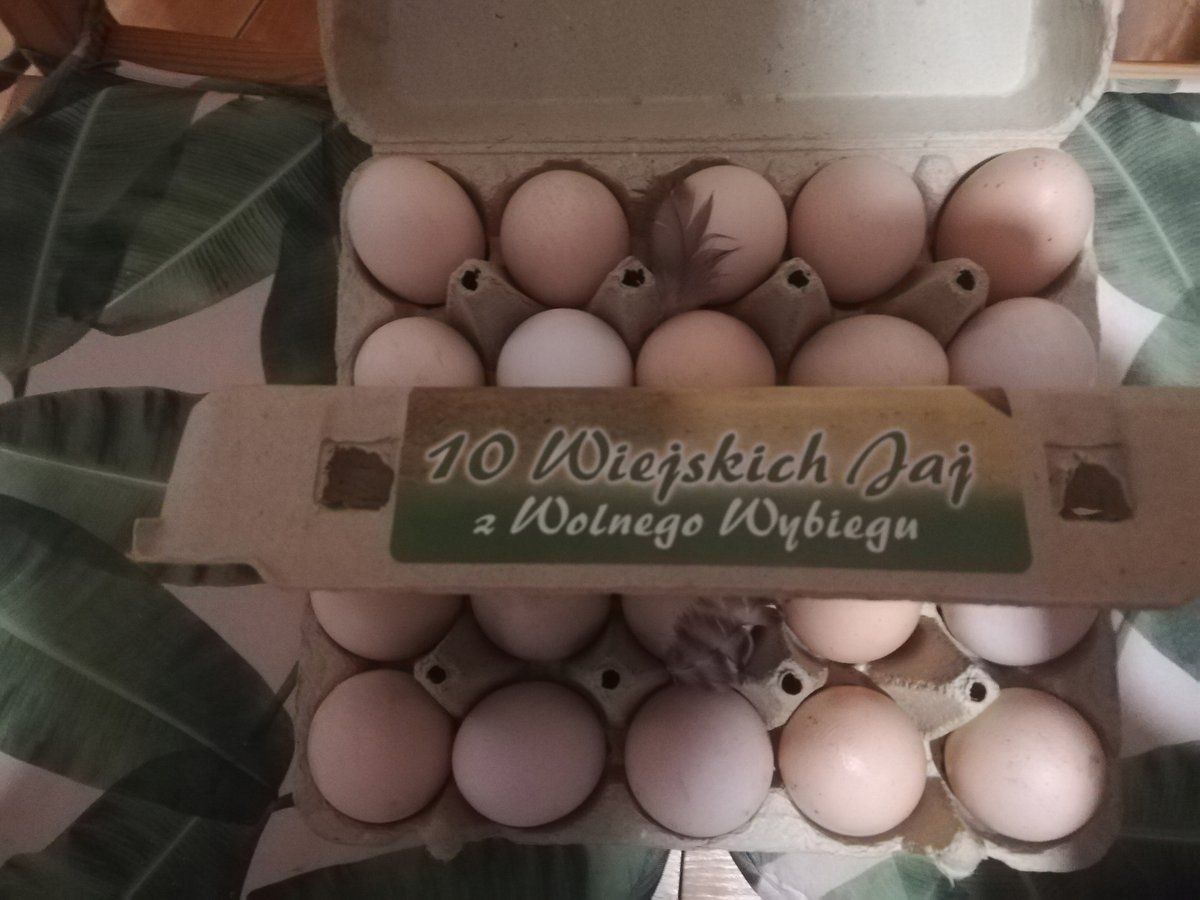 Jaja kurze z wolnego wybiegu rozmiar M