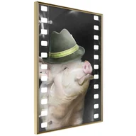 Plakaty - Plakat - Przebrana świnka (rozmiar 40x60, wykończenie Rama złota z passe-partout) - miniaturka - grafika 1