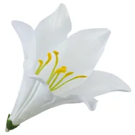 Sztuczne kwiaty - [w0487] Główka kwiatowa lilia 16cm biała - miniaturka - grafika 1