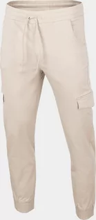 Spodnie sportowe męskie - Outhorn Spodnie męskie HOL22-SPMJ600 Beż r.L - grafika 1